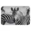 Zebra's - Zwart - Wit WCmat klein -3d