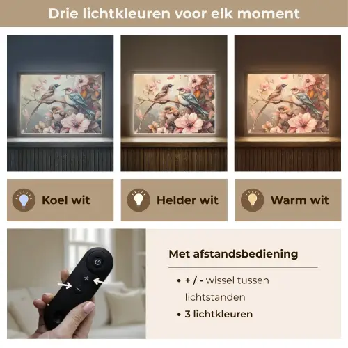 Vogels - Bloemen - Roze - Pastel Light Box met batterij (Wandlamp kind) middel -USP_lichtkleurNL
