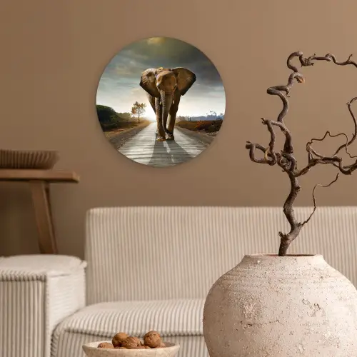 Olifant - Weg - Dieren - Zonsondergang - Landschap Wandcirkel kunststof plaat 5mm dik klein -sfeer1