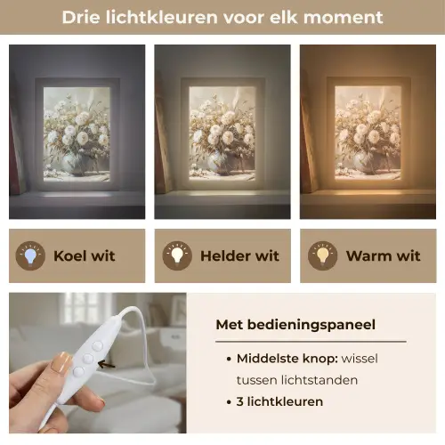 Bloemen - Vaas - Stilleven - Beige Light Box met kabel (Tafellamp) klein -USP_lichtkleurNL