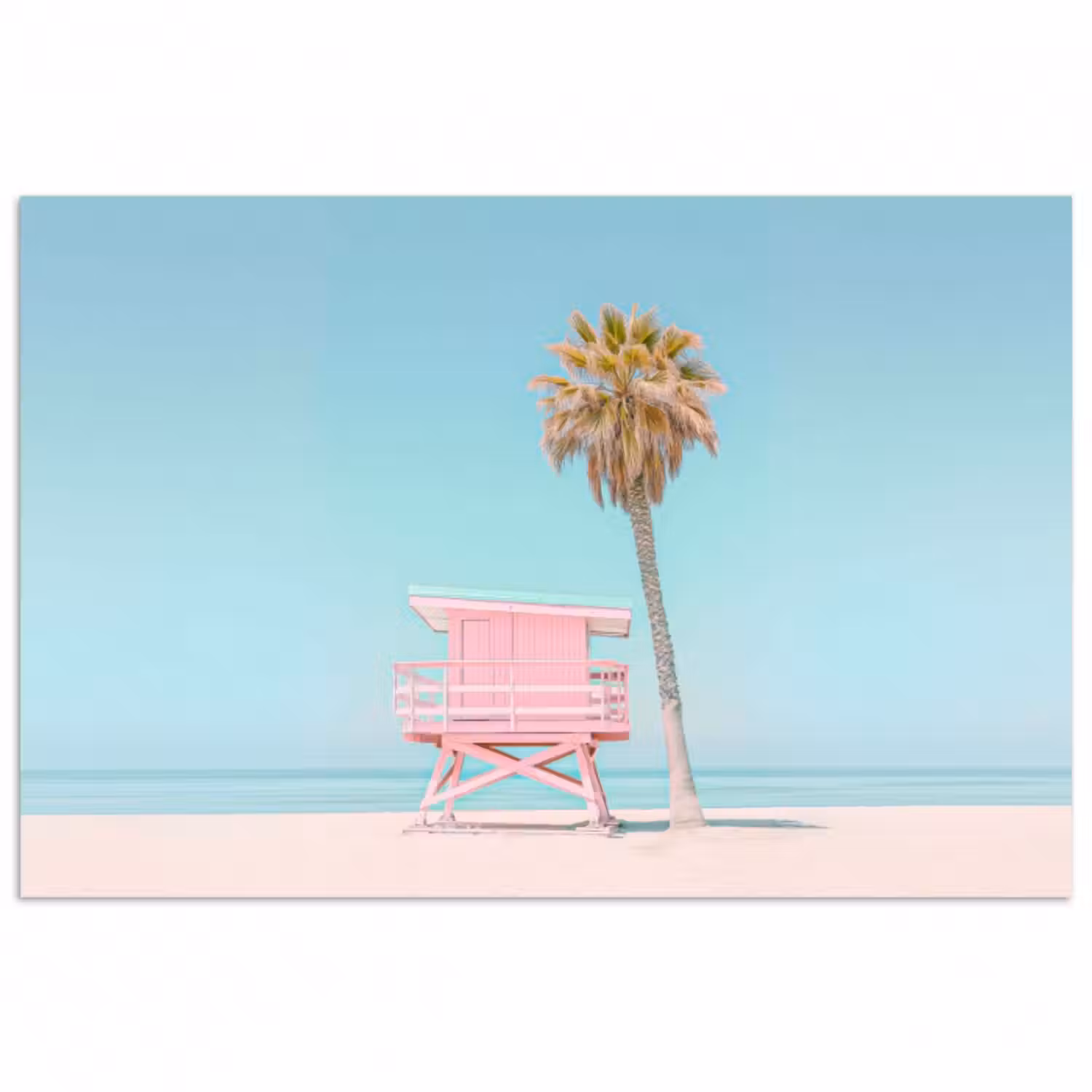 Poster - Palme - Strandhaus - Rosa