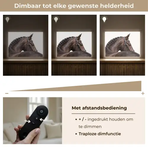 Portret - Paard - Elegant Light Box met batterij (Wandlamp) middel -USP_dimbaarNL