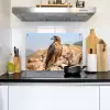 Valk - Vogel - Rots - Macht Inductie beschemer met haakjes klein -sfeer2
