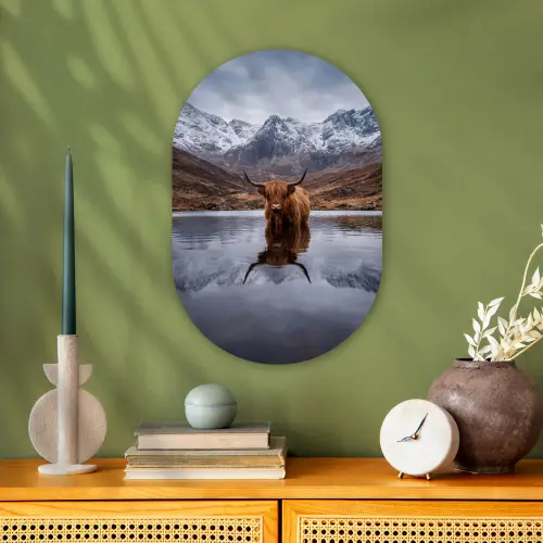 Schotse hooglander - Bruin - Water Wandcirkel Ovaal Forex klein -sfeer2