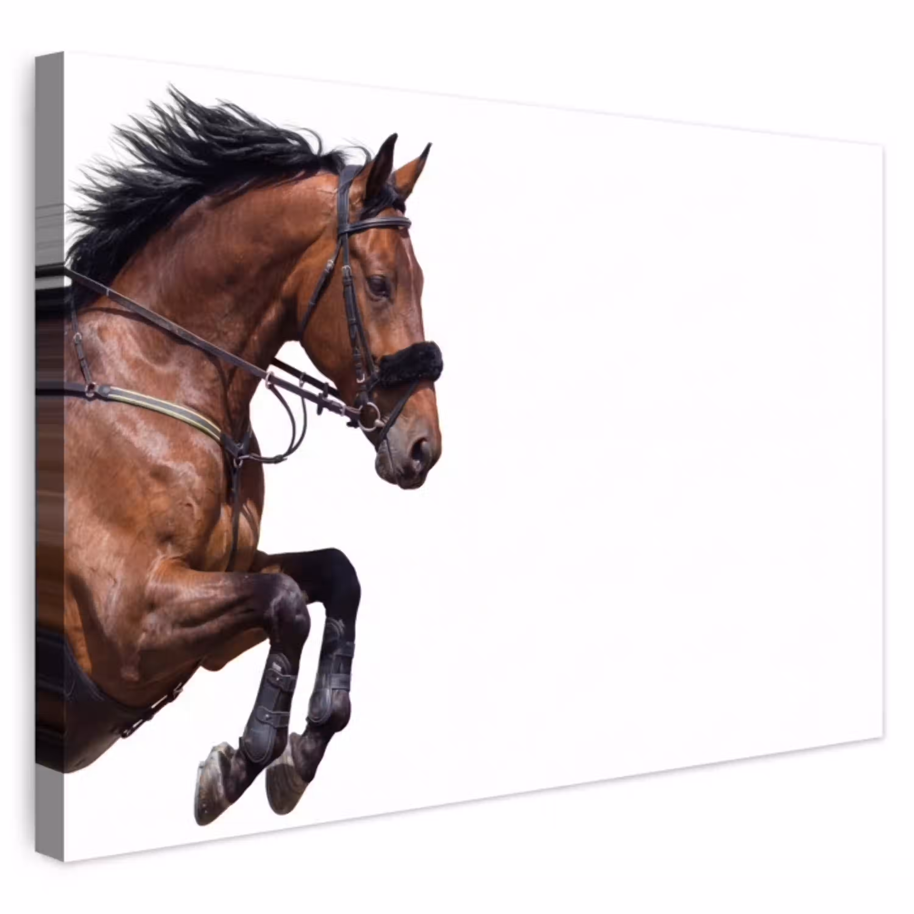 Paard - Springen - Modern Tuinposter op houten frame 2 cm dik klein -3d