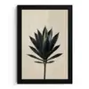 Agaveplant - Symmetrisch - Groen fotolijst zwart zonder passe partout klein -3d