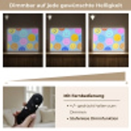 Smileys - Kleurrijk - Grappig Light Box met batterij (Wandlamp) middel -USP_dimbaarDE