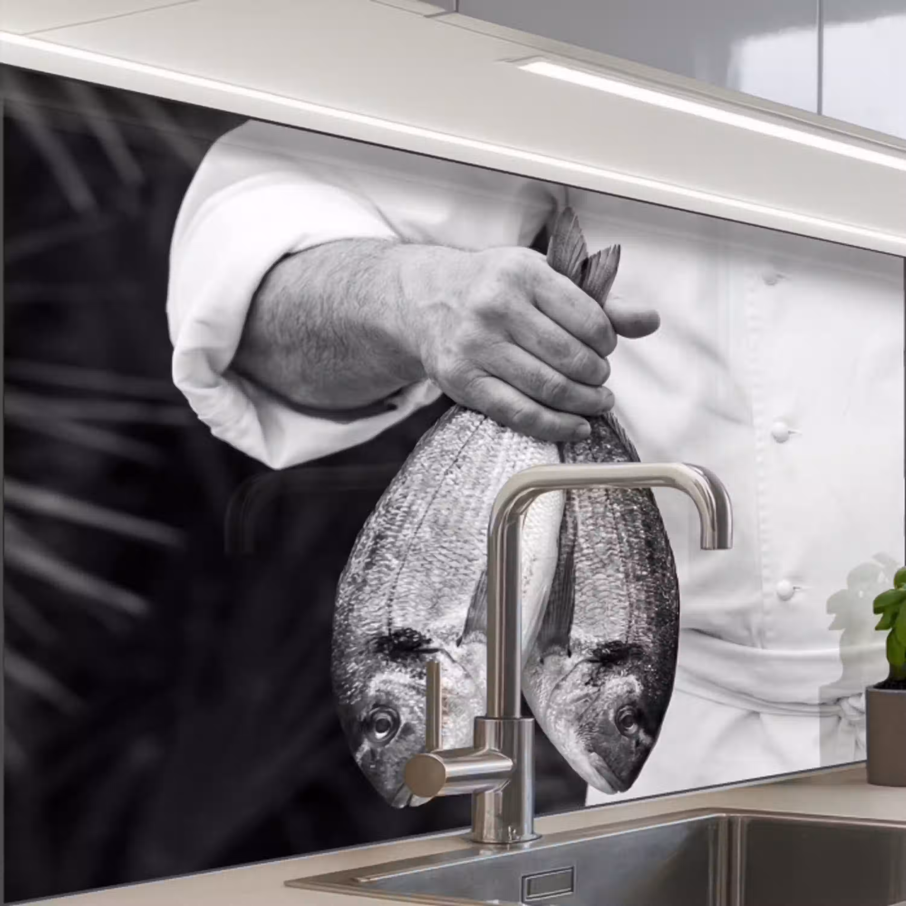 Vissen - Chef - Zwart - Wit keuken achterwand 2 middel -zzzz3d_schuin