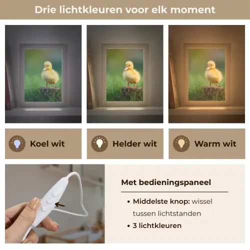 Kuiken - Eend - Geel - Gras Light Box met kabel klein -USP_lichtkleurNL