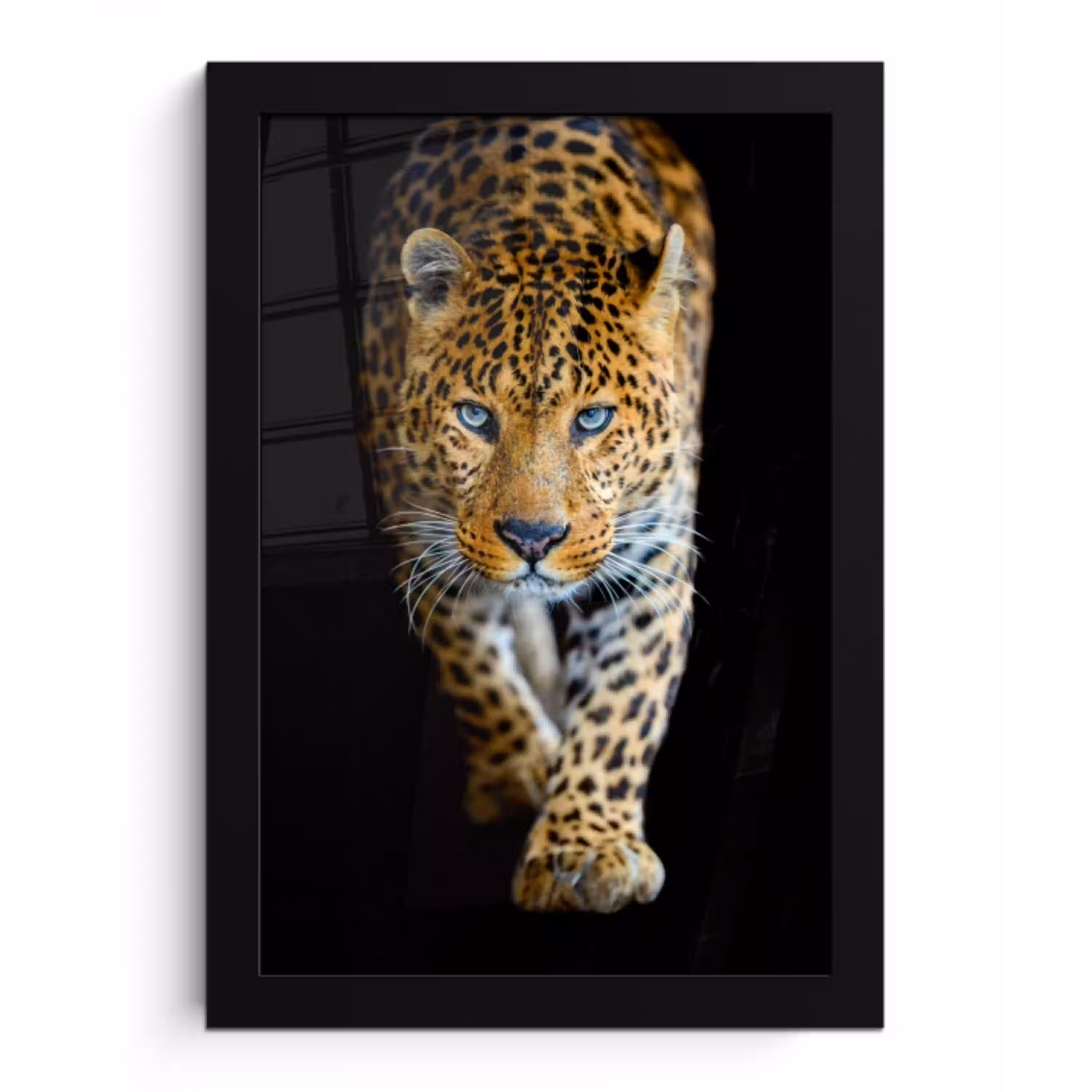 Luipaard - Dieren - Portret - Wilde dieren - Zwart fotolijst zwart zonder passe partout klein -3d