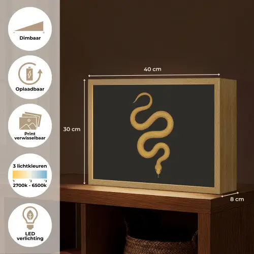 Slang - Minimalistisch - Goud Light Box met batterij (Wandlamp) middel -USP_websiteoverzichtNL
