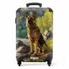 Hessel herder Koffer - NBS - Handbagage middel -productfoto_recht