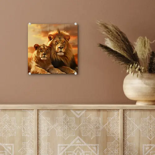Leeuwen - Zonsondergang - Afrika - Savanne - Dieren plexiglas 5mm klein -sfeer5
