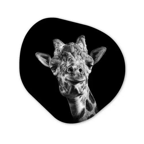 Giraffe - Dier - Zwart - Wit Wandcirkel Organisch Forex 3mm klein -3d