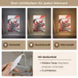 Kart - Coureur - Snelheid - Rood Light Box met kabel (Kinderlampje) klein -USP_lichtkleurDE