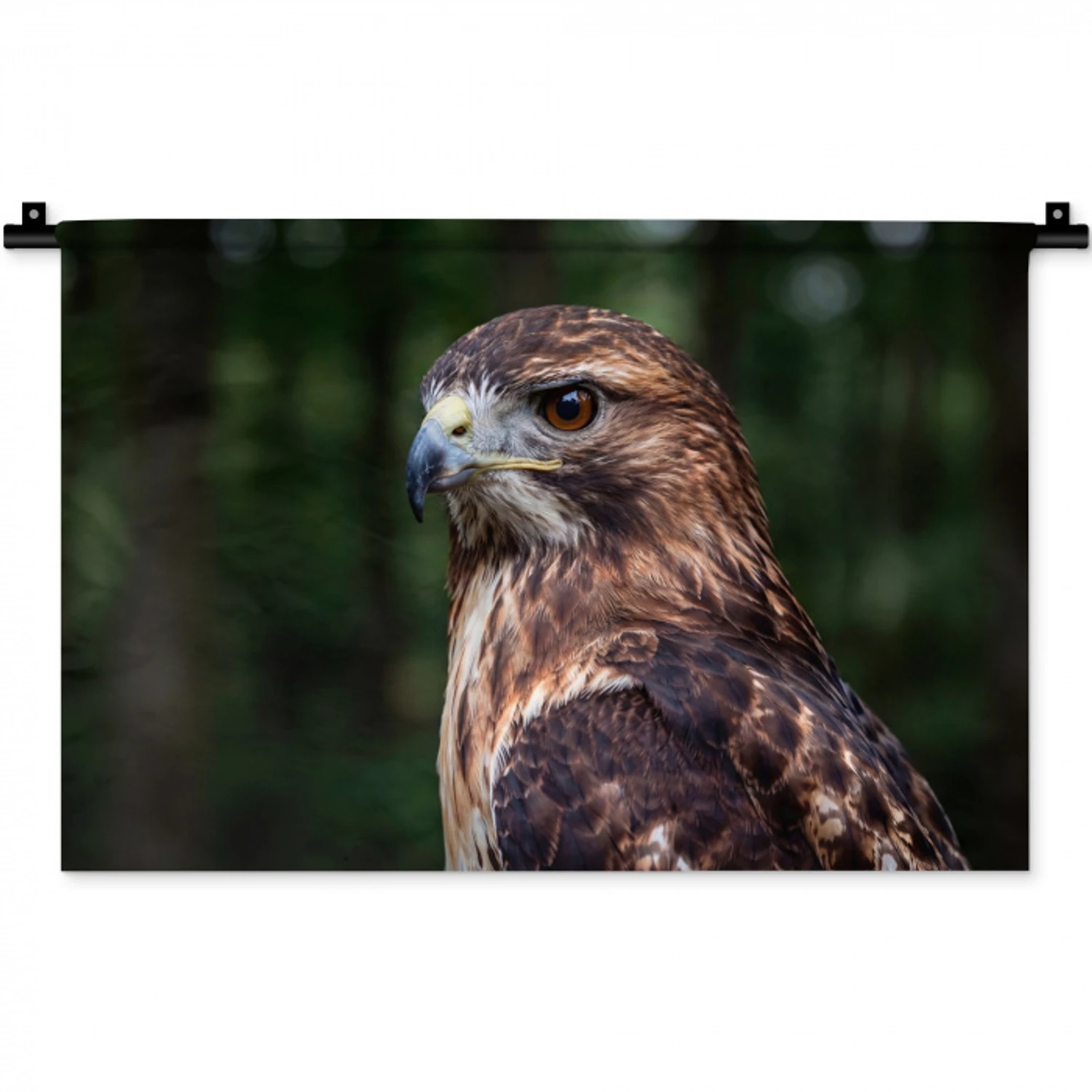 Buizerd - Roofvogel - Natuur - Bruin Wandkleed katoen klein -zz3d