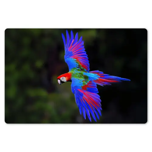 Felgekleurd - Papegaai - Bos - Vleugels Placemat vinyl groot -zzsfeer1_Kitchenyeah-website