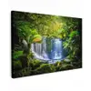 Jungle - Waterval - Australië - Planten - Natuur Tuinposter op houten frame 2 cm dik klein -3d