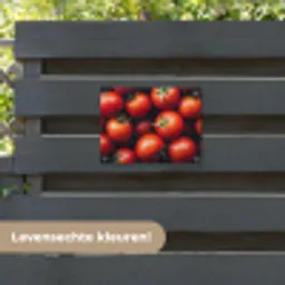 Groente - Rood - Tomaten tuinposter los doek klein -sfeer3