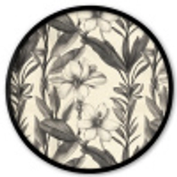 Klassiek - Botanisch - Zwart - Beige Fotolijst rond zonder passe partout klein 856 -3d