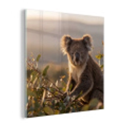 Koala - Bladeren - Ochtendlicht plexiglas 5mm klein -z3d