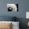 Paardenbloem - Zwart - Wit poster papier klein -sfeer2
