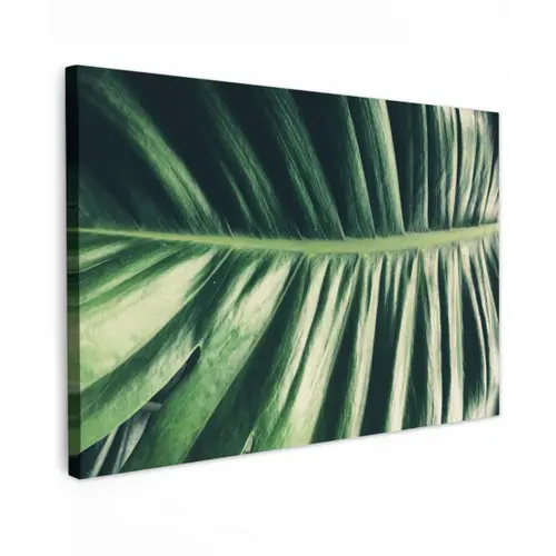 Bladeren - Tropisch - Jungle canvas 2cm klein -z3d