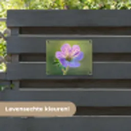 Bloem - Close up - Paars tuinposter los doek klein -sfeer3
