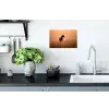 Paard - Grasveld - Zonsondergang Muursticker klein -keuken