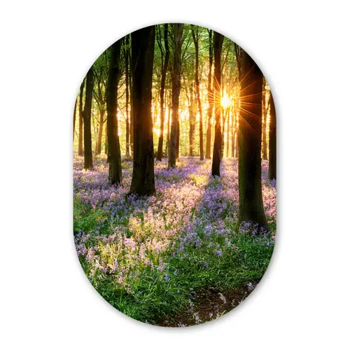 Bos - Bloemen - Lavendel - Zon - Paars - Natuur Wandcirkel Ovaal Forex klein -3d