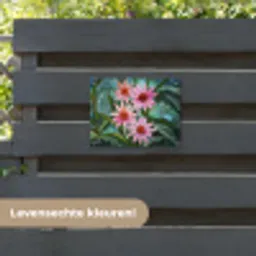 Bloemen - Roze - Glasmozaïek tuinposter los doek klein -sfeer3
