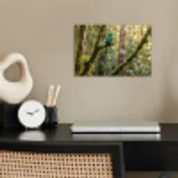 Quetzal - Jungle - Natuur - Groen poster papier klein -sfeer1