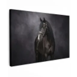 Portret - Paard - Zwart Tuinposter op houten frame 2 cm dik klein -3d
