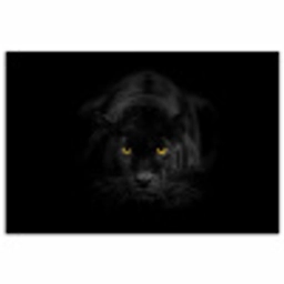 Panter - Dieren - Zwart - Ogen poster papier klein -3d