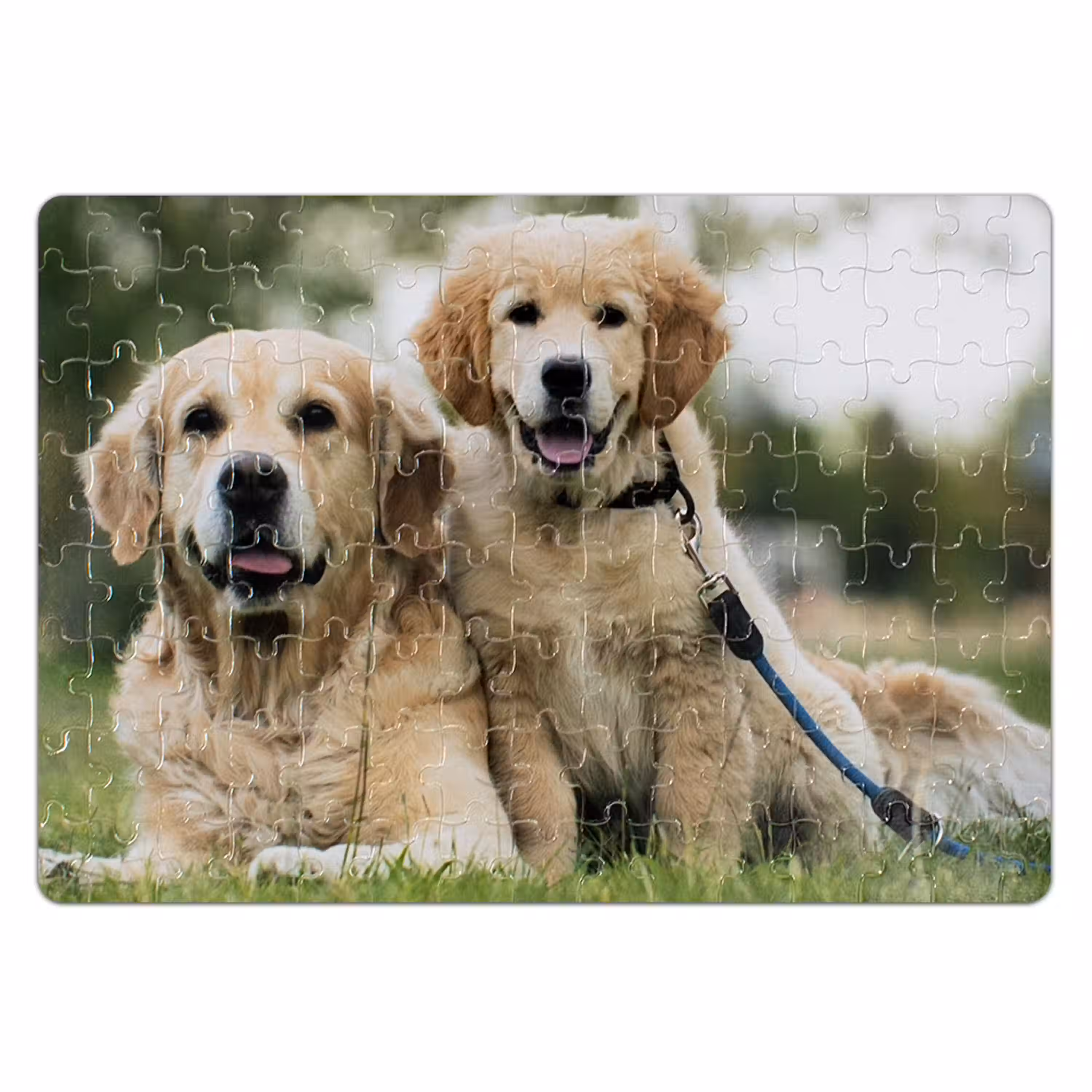 puzzel-product.png