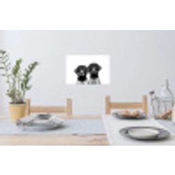 Honden - Bivakmuts - Zwart - wit Muursticker klein -eettafel