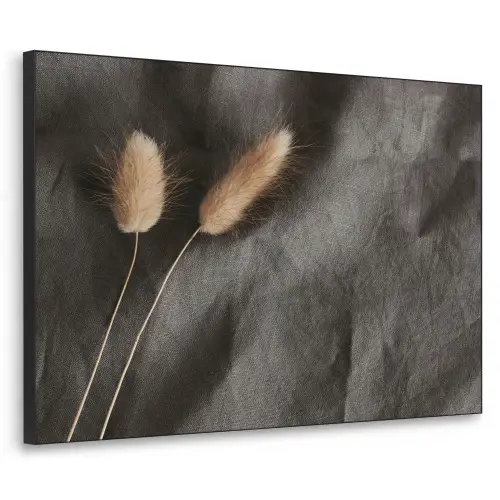 Pampasgras - Pluim - Zwart - Beige Textielframe zwart klein -3d