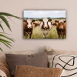 Koeien - Portret - Weide - Boerderij - Nieuwsgierig canvas 2cm klein -sfeer1