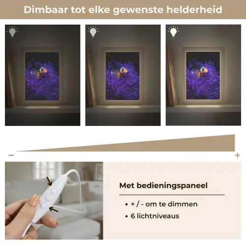 Koraal - Vis - Oranje - Zee Light Box met kabel (Tafellamp) klein -USP_dimbaarNL