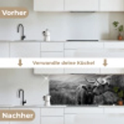 Schotse hooglander - Kalf - Zwart - Wit keuken achterwand 2 middel -voor-na_DE