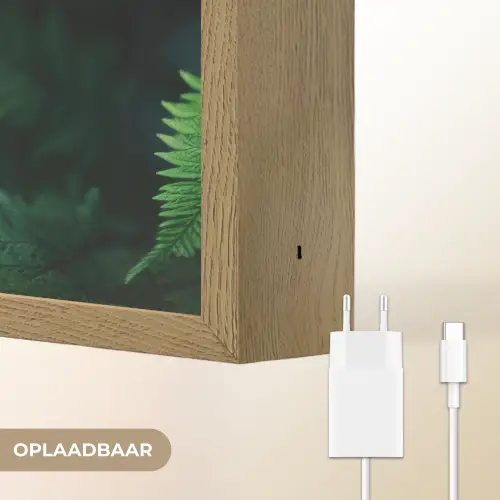 Varenblad - Groen - Structuur - Wazig Light Box met batterij (Wandlamp) middel -USP_websiteoplaadbaarNL