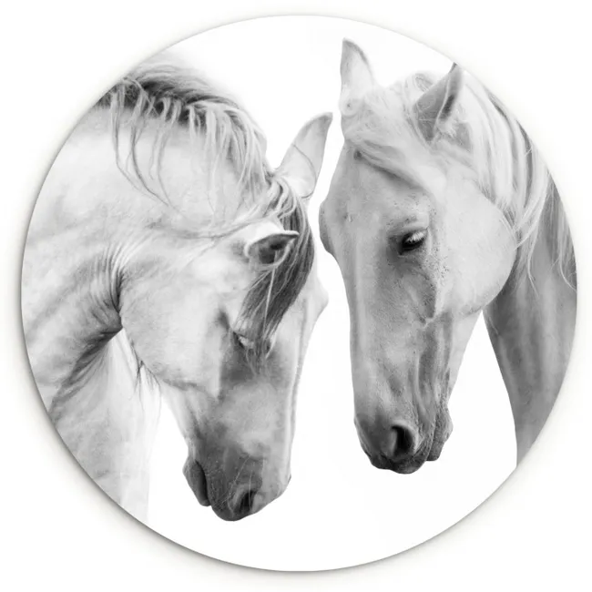 Paard - Dieren - Portret - Wit Wandcirkel kunststof plaat 5mm dik klein -3d