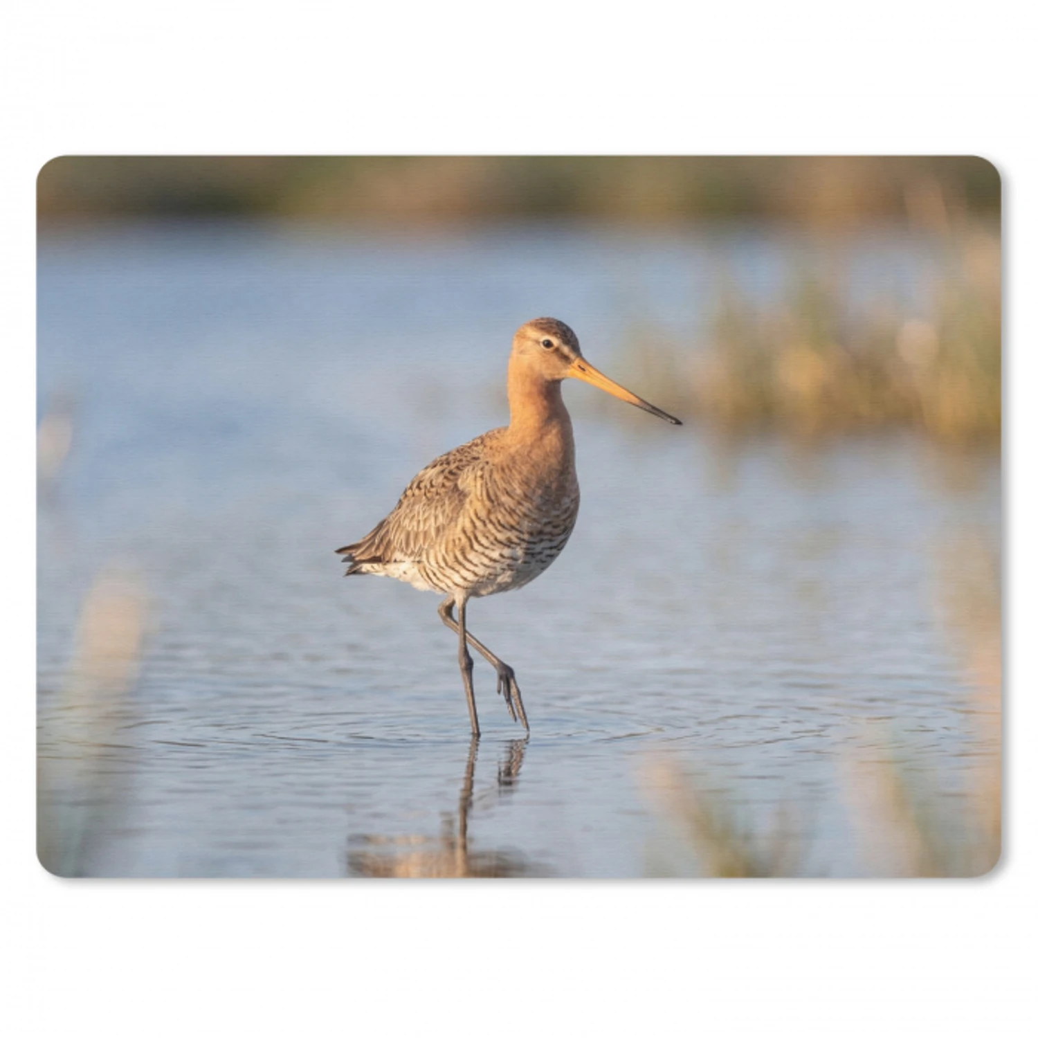 Vogel - Steltloper - Water - Natuur muismat rubber klein -3d