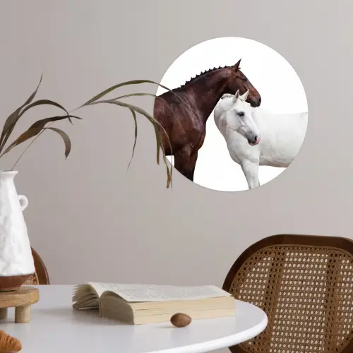 Paard - Modern - Balans Wandcirkel behangsticker klein -sfeer3