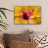 Geel - Hibiscus - Tropisch canvas 2cm klein -sfeer1