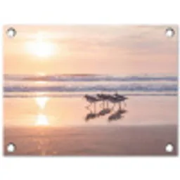 Zee - Vogels - Strand tuinposter los doek klein -3d