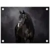 Portret - Paard - Zwart tuinposter los doek klein -3d