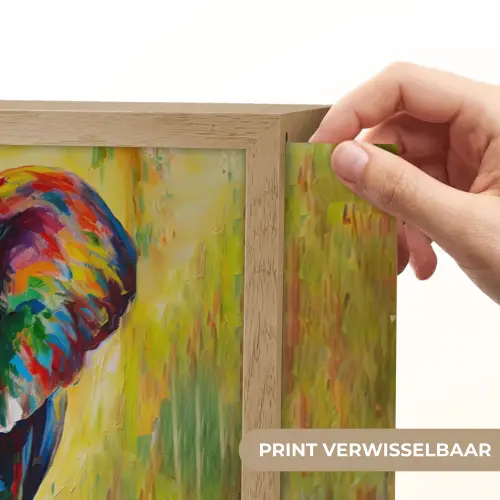 Olifant - Kunst - Schilderij - Dieren - Regenboog Light Box met batterij (Wandlamp) middel -USP_websiteprintNL