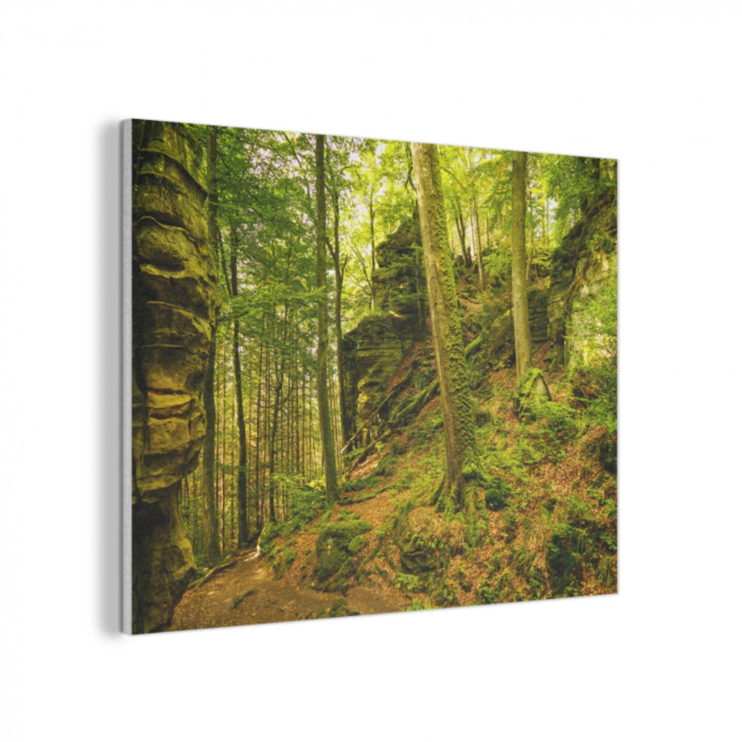 Bomen - Steen - Bos - Natuur - Planten PET vilt klein -3d