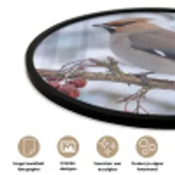 Pestvogel - Bessen - Winter - Natuur Fotolijst rond zonder passe partout klein -closeup_NL